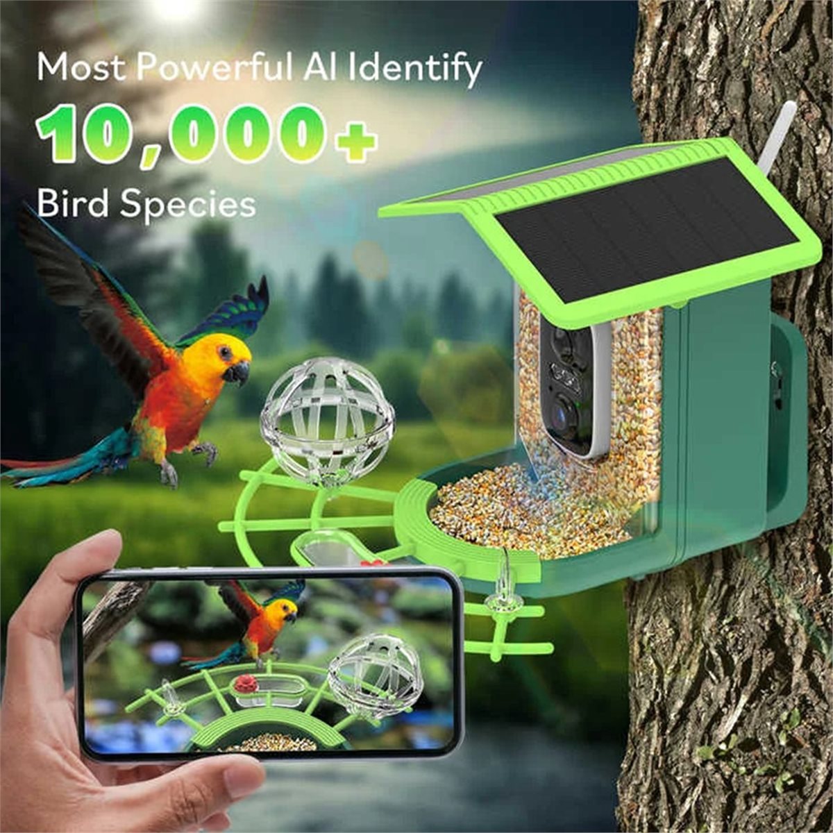 ABPP Smart Bird Feeder Camera  - đánh giá và giá Power Tools Video